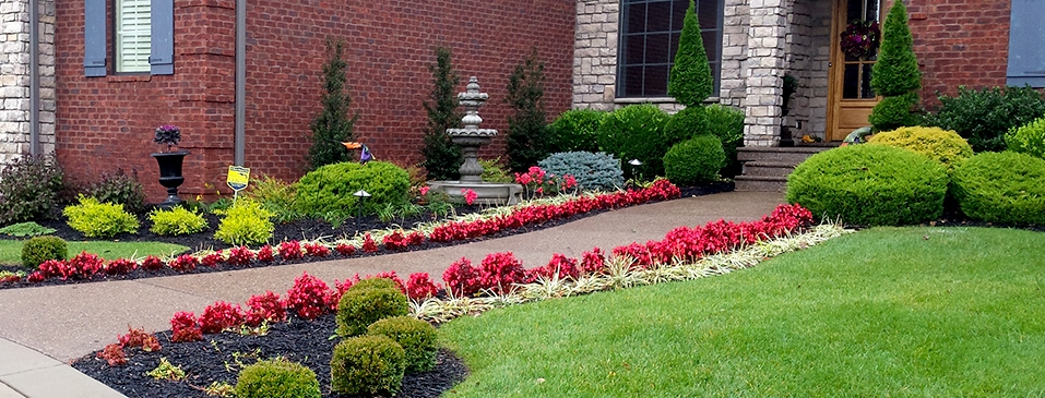 Landscape design in front of a house featuring a sidewalk lined with red flowers.