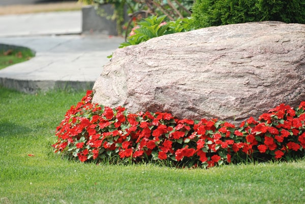 red floral accent placed by landscape architect