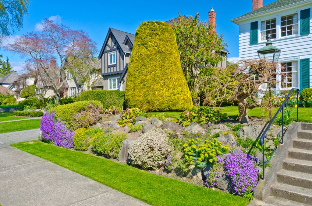 Front of a yard with purple and green flowers and large topiary.