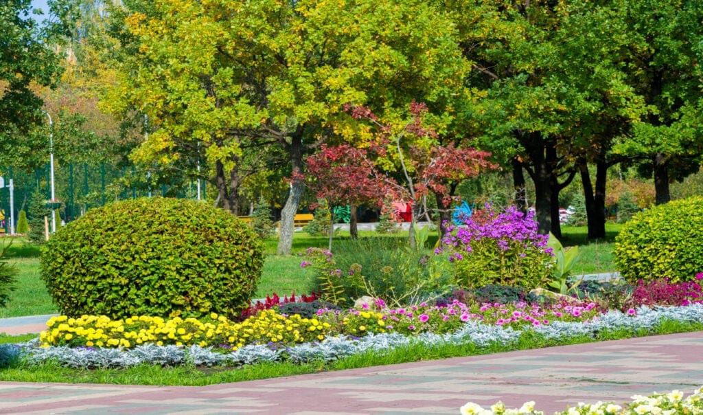 landscape design with flowers and bushes along a walkway, beautiful softscaping in a communal area.