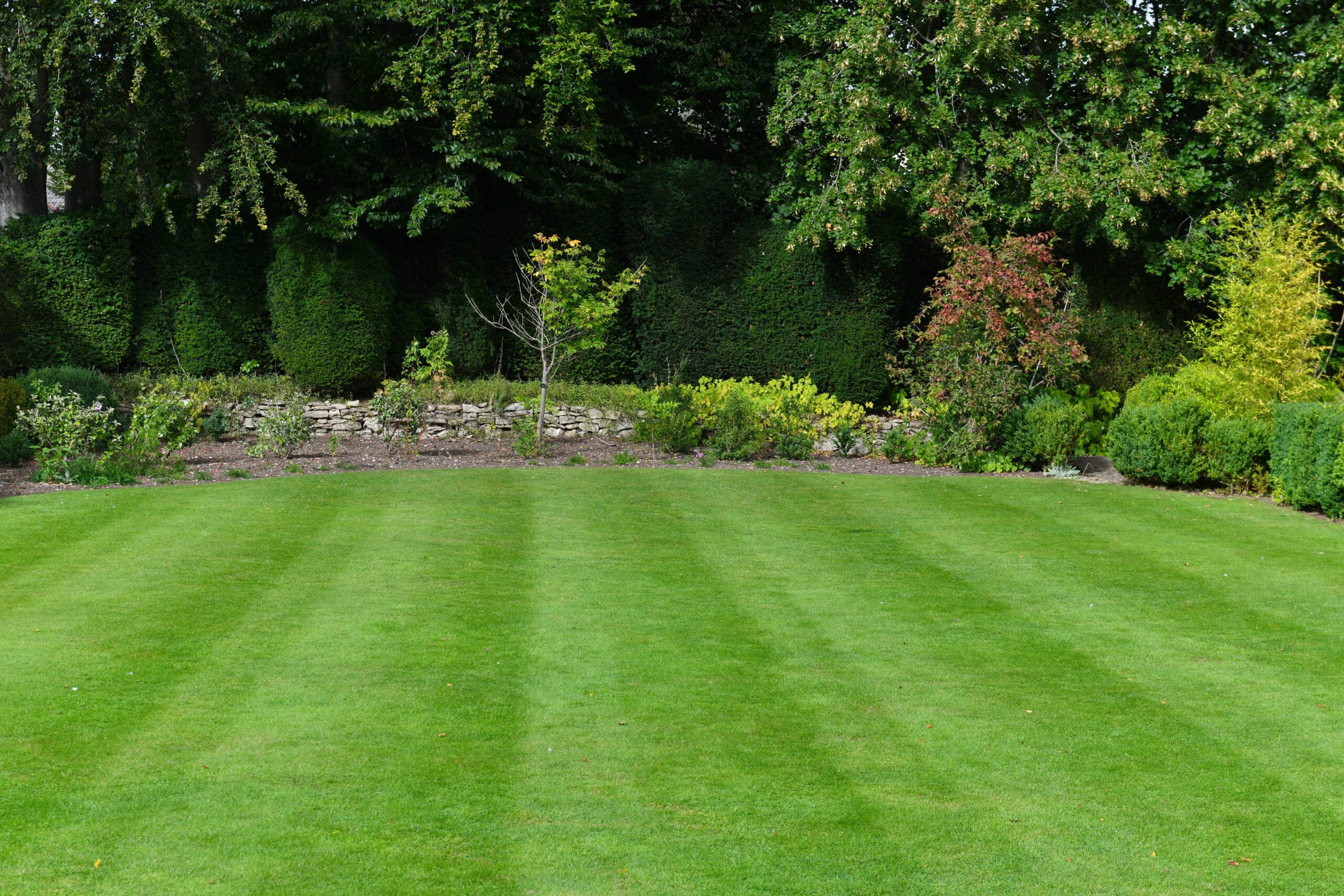 A freshly mown lawn with some landscape design of flowers and bushes in the background.