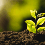 A small green plant with fresh leaves grows from dark soil, illuminated by soft sunlight from the left, against a blurred, nature-inspired background, to portray sustainable landscaping.