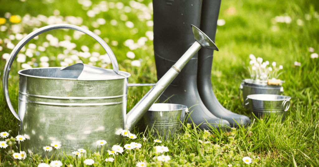 A pair of black rubber boots stands on grass among daisies, next to a metal watering can and several small metal containers, evoking a spring yard cleanup scene.