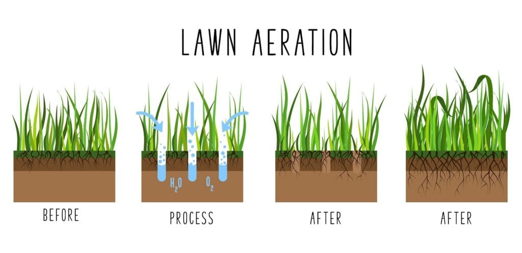 Diagram showing lawn aeration: the first image is thick grass before aeration, the second shows holes with water and air entering the soil, and the last two images show healthier grass with thicker roots after aeration.