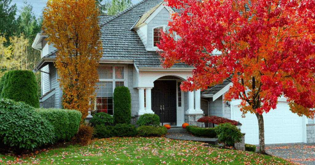 A suburban house with gray siding and white trim is surrounded by autumn trees with red and orange leaves. The lawn is green with fallen leaves, and two pumpkins sit near the front steps.
